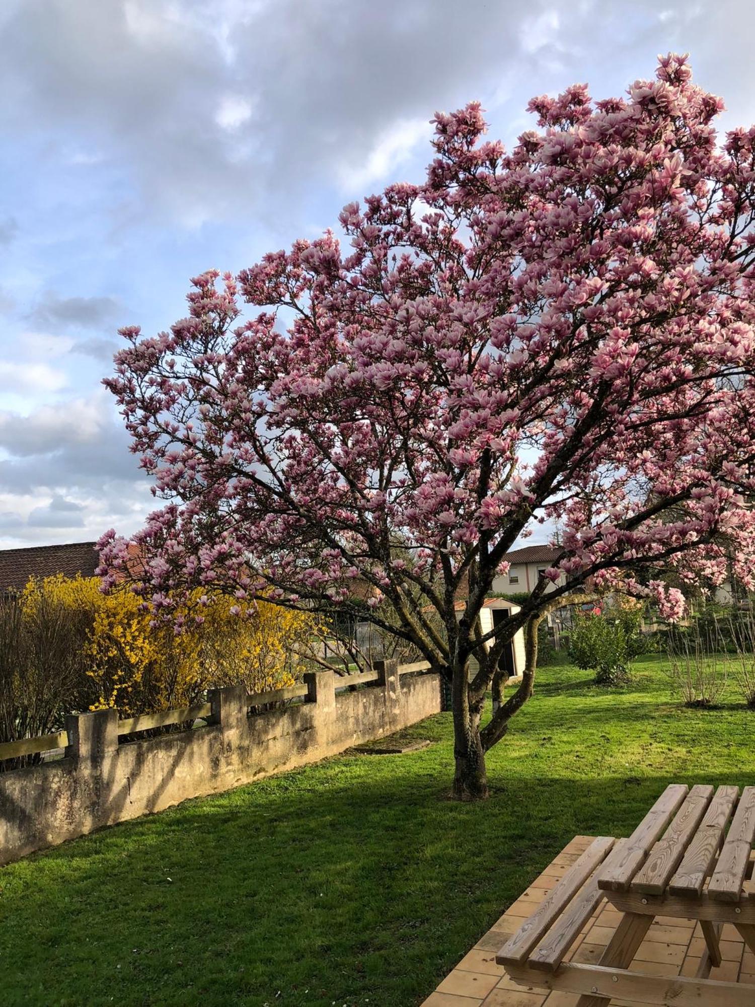 Parc De La Charmille Bed and Breakfast Saint-Étienne-sur-Reyssouze Εξωτερικό φωτογραφία