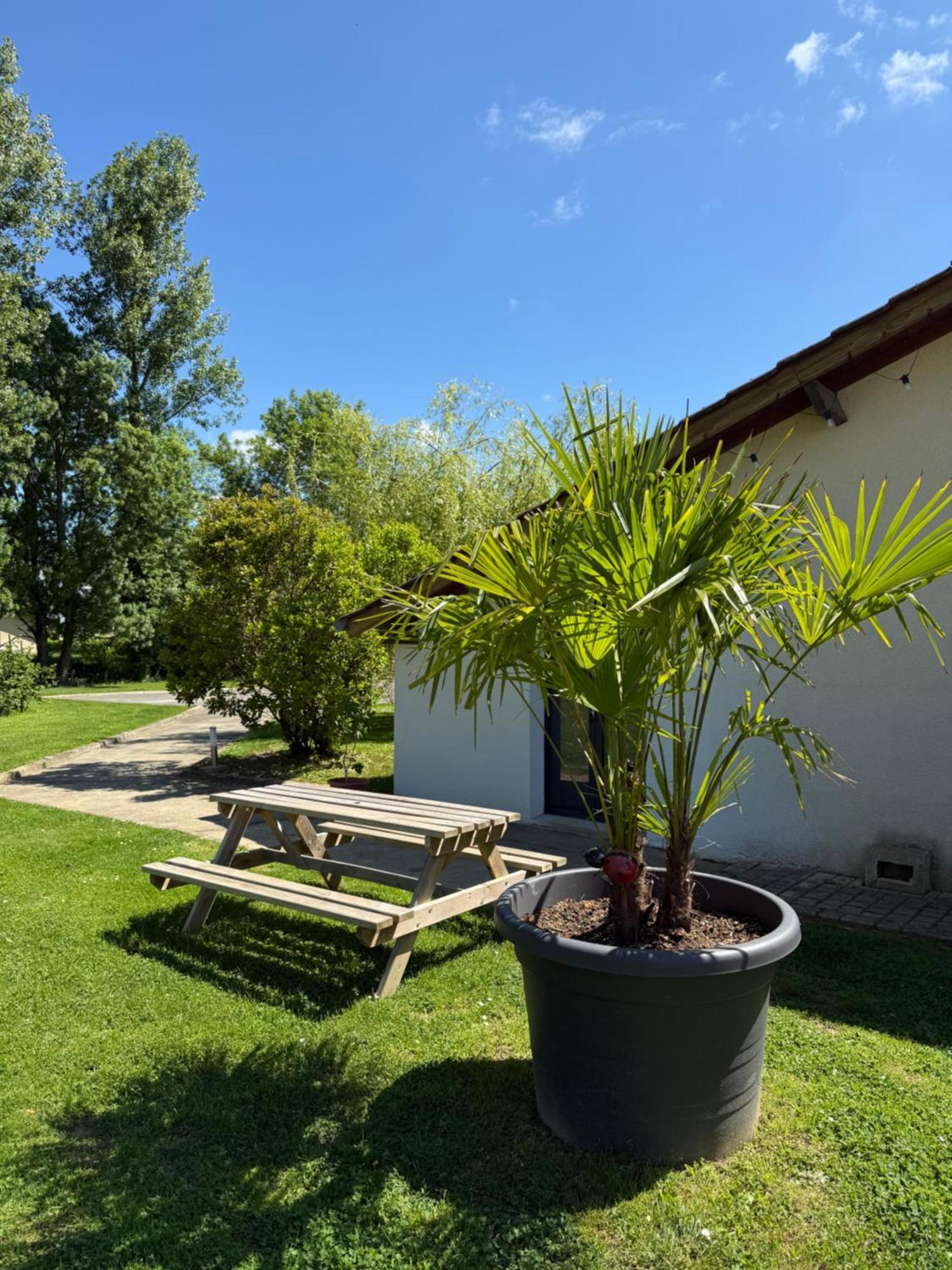 Parc De La Charmille Bed and Breakfast Saint-Étienne-sur-Reyssouze Εξωτερικό φωτογραφία